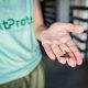 NextProtein aumentará producción de alimentos a base de insectos