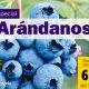 Especial Arándanos 2020: Retos productivos y comerciales