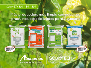 Soluciones amigables con el medio ambiente a disposición de productores de aguacate