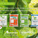 Soluciones amigables con el medio ambiente a disposición de productores de aguacate