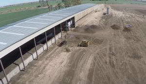 Firma mexicana de bioestimulantes prepara apertura de planta en Estados Unidos