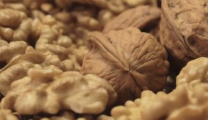 Temporada de nueces chilenas se inicia con altos desafíos para productores