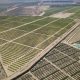 Los desafíos tras la consolidación de Olmos, el megaproyecto agrícola de Perú