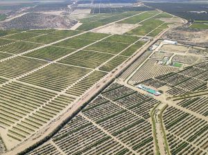 Redagrícola lanza su primera conferencia en Olmos