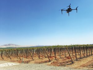 La agricultura de precisión como una herramienta para ser más productivos y rentables
