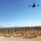 La agricultura de precisión como una herramienta para ser más productivos y rentables