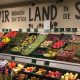 En Alemania, la pandemia impulsó segmento de alimentos orgánicos en 22%