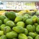 Perú podría duplicar envíos de paltas a EE.UU. en cinco años