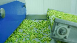 Exportan a Japón aguacate Hass congelado de Tolima