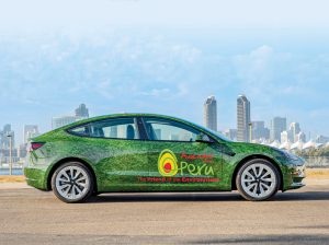 La más ambiciosa campaña promocional de palta peruana en Estados Unidos