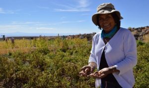 Agricultoras podrán postular a fondos para proyectos de riego