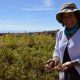 Agricultoras podrán postular a fondos para proyectos de riego