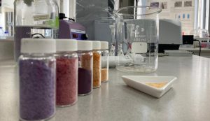 Campo chileno busca espacio en la industria del color ante inminente prohibición de colorantes artificiales