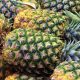 Perú bate su récord de exportaciones de piña