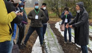 Plásticos biodegradables se posicionan como insumos de alto potencial en el mercado agrícola