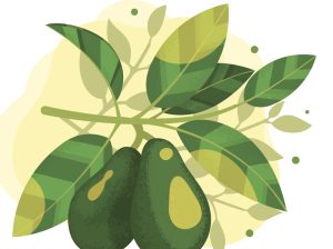 Estrategias de poda para tener un huerto productivo