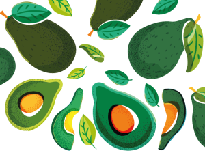 Una visión sobre las variedades y portainjertos en aguacates