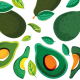 Una visión sobre las variedades y portainjertos en aguacates