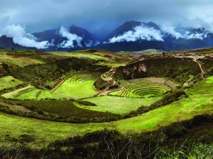 Mil Centro:  Vivir los  ecosistemas  de altura