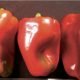 Tratamientos térmicos de postcosecha aplicados en pimiento (Capsicum annuum L.)