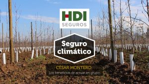 Seguro agrícola: Los beneficios de actuar en grupo