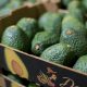 En busca del consumidor que prefiere frutas orgánicas