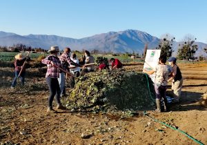 Ministerio de Agricultura capacita a pequeños agricultores para aprovechar los residuos