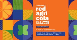 Conferencia Redagrícola Ica abordará charlas sobre los principales cultivos de exportación