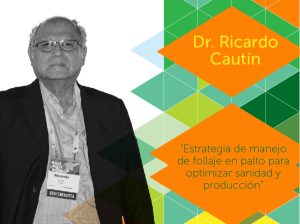 "Estrategia de manejo de follaje en palto para optimizar sanidad y producción"