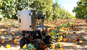 Crean robot para la recolección de fruta en los campos