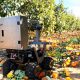 Crean robot para la recolección de fruta en los campos