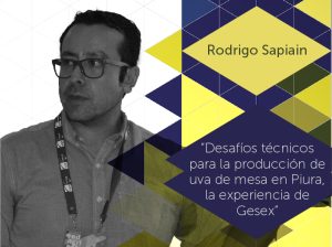 "Desafío técnicos para la producción de uva de mesa en Piura, la experiencia de Gesex"