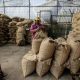 Producción de café de Colombia cae 7% en abril