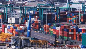 Exportadores de fruta de Chile piden medidas al Gobierno para mayor agilidad y eficiencia en operaciones de puertos