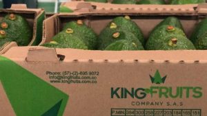 Aguacate Hass: salió el primer contenedor desde Puerto de Santa Marta a Miami