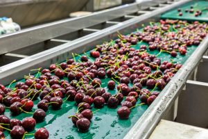 Universidad de Chile lanza diplomado de poscosecha en frutas y hortalizas
