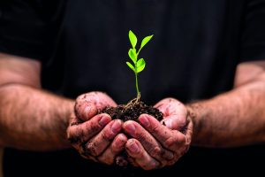 Lo biológico no es una moda