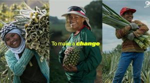 Campaña de reciclaje de residuos de piña gana premio internacional de publicidad