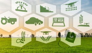 El campo colombiano es tierra fértil para emprendimientos tecnológicos
