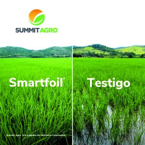 El bioestimulante Smartfoil incrementa los rendimientos y  mejora la calidad de las cosechas