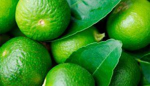 Brasil envía primer cargamento de limón Tahití a Chile