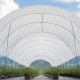 Tunneltek: soluciones a medida para los productores de arándanos