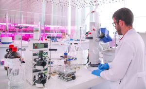 UPL busca que los biopesticidas aporten el 50% de sus ingresos