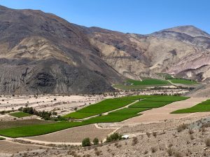 “El Valle de Copiapó ha mejorado su competitividad”