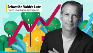 "Aún no hay consciencia de cómo la información puede ser un elemento diferenciador en un negocio agrícola"