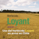 Uso del herbicida Loyant en arroz en Chile
