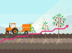 Curso internacional abordará uso de fitohormonas para tener campos productivos