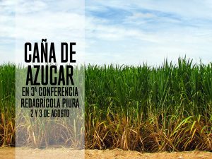 Destacados expertos internacionales mostrarán las últimas tendencias en manejo de caña de azúcar