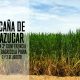Destacados expertos internacionales mostrarán las últimas tendencias en manejo de caña de azúcar