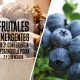¿Cuáles son los frutales emergentes para el Perú?